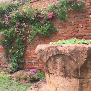 Garden Houses Venezia